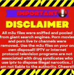 Disclaimernidimcelpart3.png