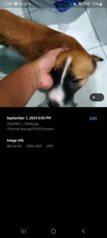 Screenshot_20240901_170731_Gallery.webp