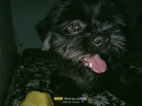 IMG20230912190649.webp