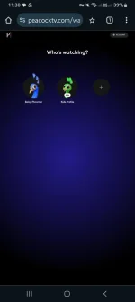 Screenshot_20240902_113041_Chrome.webp