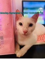 1000023873.webp