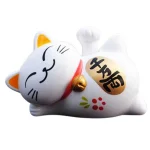 cat.webp