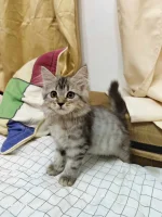 att.4M5HYGlhwgTsJzu_d2Bp9jmCCpqvuWWYlyOljITFAyg.webp