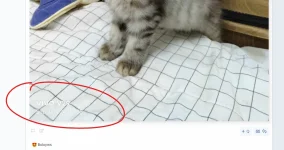 Screenshot 2024-09-02 124323.webp