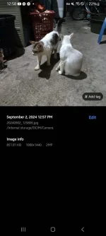 Screenshot_20240902_125841_Gallery.webp