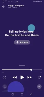 Screenshot_20240902_162901_com.musixmatch.android.lyrify.webp