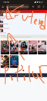 Screenshot_2024-09-02-19-28-54-014_com.kiwibrowser.browser-edit.webp
