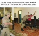 FB_IMG_1725372548014.webp