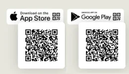 image.webp image.webp