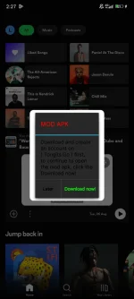 Screenshot_2024-09-05-02-27-22-941_com.spotify.music.webp