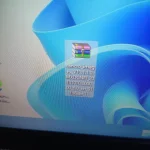 17255193898274939576136901523519.webp