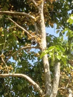 1000067581.webp