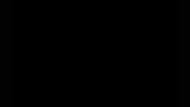 giphy.gif