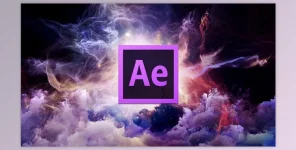 1725700533802.webp
