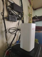 1000047870.jpg