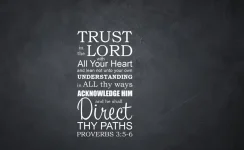 1726105000369.webp