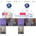 1726293245890.webp 1726293245890.webp