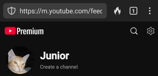 Screenshot_20240916_125635_DuckDuckGo.jpg