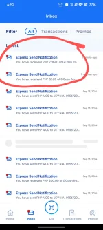 Screenshot_20240915-165259_GCash~2.webp Screenshot_20240915-165259_GCash~2.webp