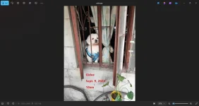 1726723528777.webp
