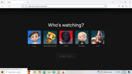 netflix.webp