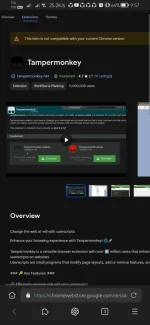 Screenshot_20240919_215708_net.maskbrowser.browser.webp