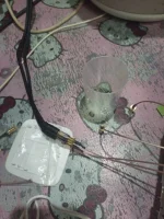 1000000579.webp