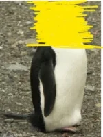 454623178_1102234664568522_4639980741300224301_n.png