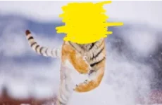 460968528_934563678507970_6489411655389232737_n.webp