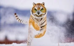 1727194564784.webp