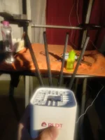 1000053385.webp