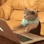 200.gif 200.gif