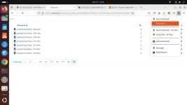 Screenshot from 2024-09-25 16-46-07.webp