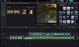 cacpcut 8.webp cacpcut 8.webp