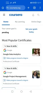 Screenshot_20240929_001735_com.android.chrome.webp
