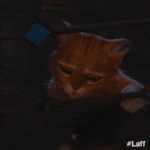 200.gif