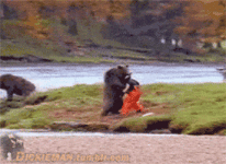 200.gif