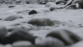 200.gif 200.gif