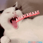 200.gif