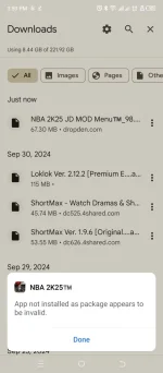 Screenshot_20241002-155946.webp