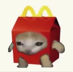 b4c145c75cb971bcb4bee3ac4ba1435e.webp