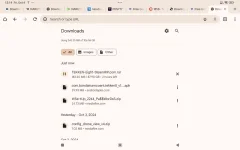 Screenshot_2024-10-04-00-14-21-198_com.android.chrome.webp
