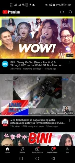 Screenshot_20241004_130616_app.rvx.android.YøùTùbé.webp