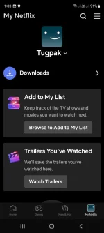 Screenshot_20241007_130319_Netflix.jpg