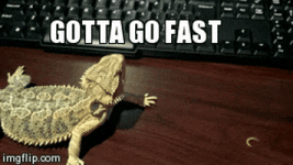 200.gif