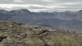 200.gif