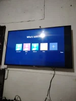 17284726896350.12177813178400265.webp