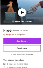 Screenshot 2024-09-15 174827.webp