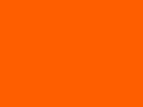 1000023348.webp