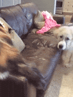 200.gif